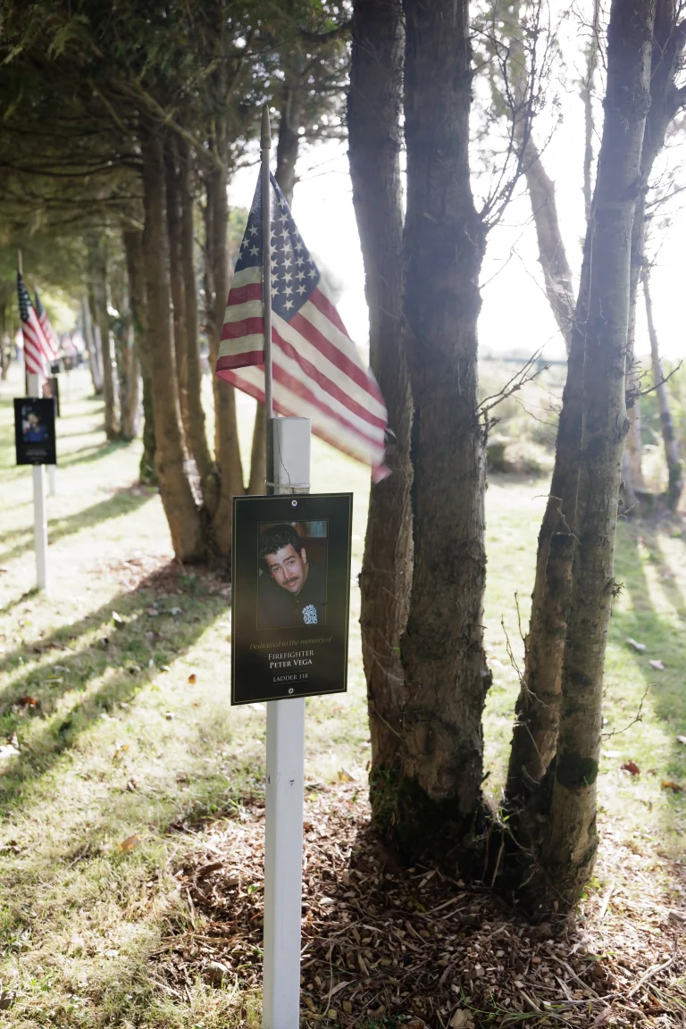 Photo of Peter Vega's tree in Ringfinnan Garden of Remembrance