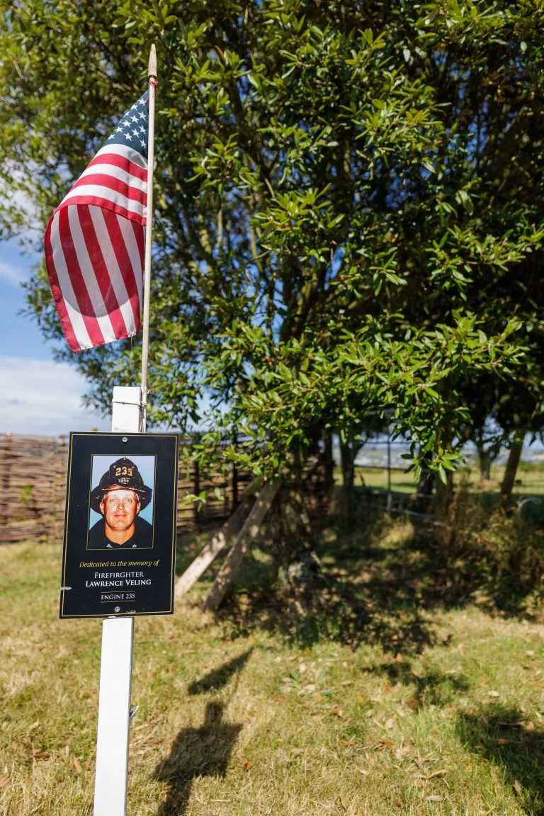 Photo of Lawrence Veling's tree in Ringfinnan Garden of Remembrance