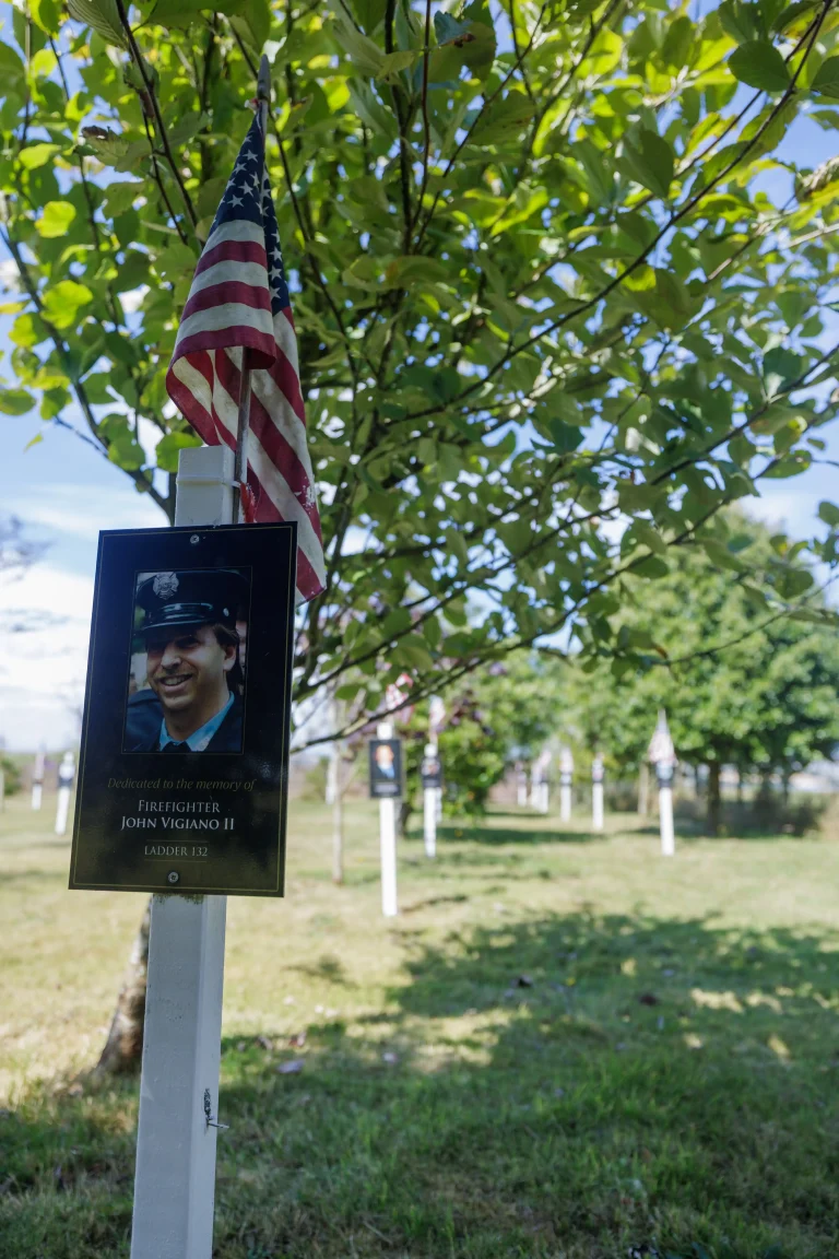 Photo of John Vigiano II's tree in Ringfinnan Garden of Remembrance
