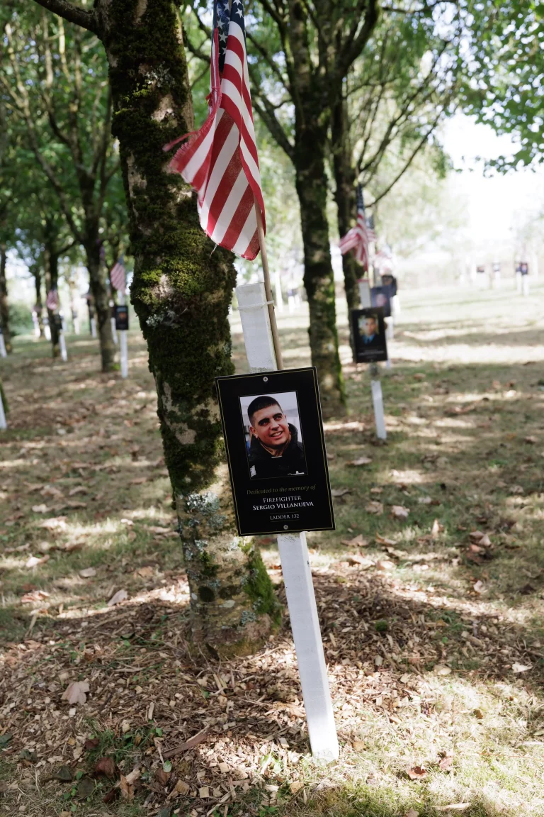 Photo of Sergio Villanueva's tree in Ringfinnan Garden of Remembrance