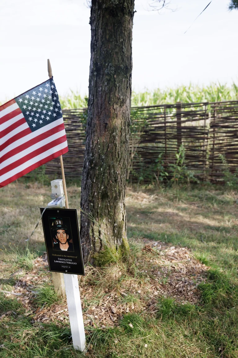 Photo of Lawrence Virgilio's tree in Ringfinnan Garden of Remembrance