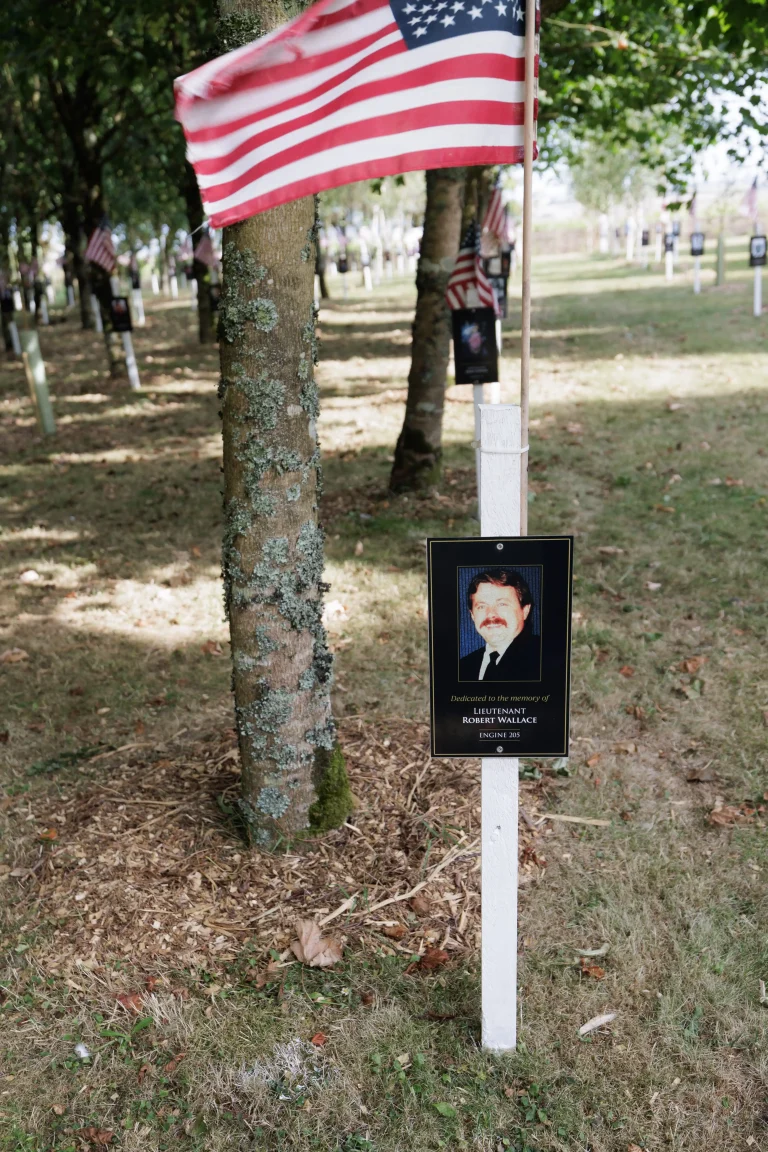 Photo of Robert Wallace's tree in Ringfinnan Garden of Remembrance