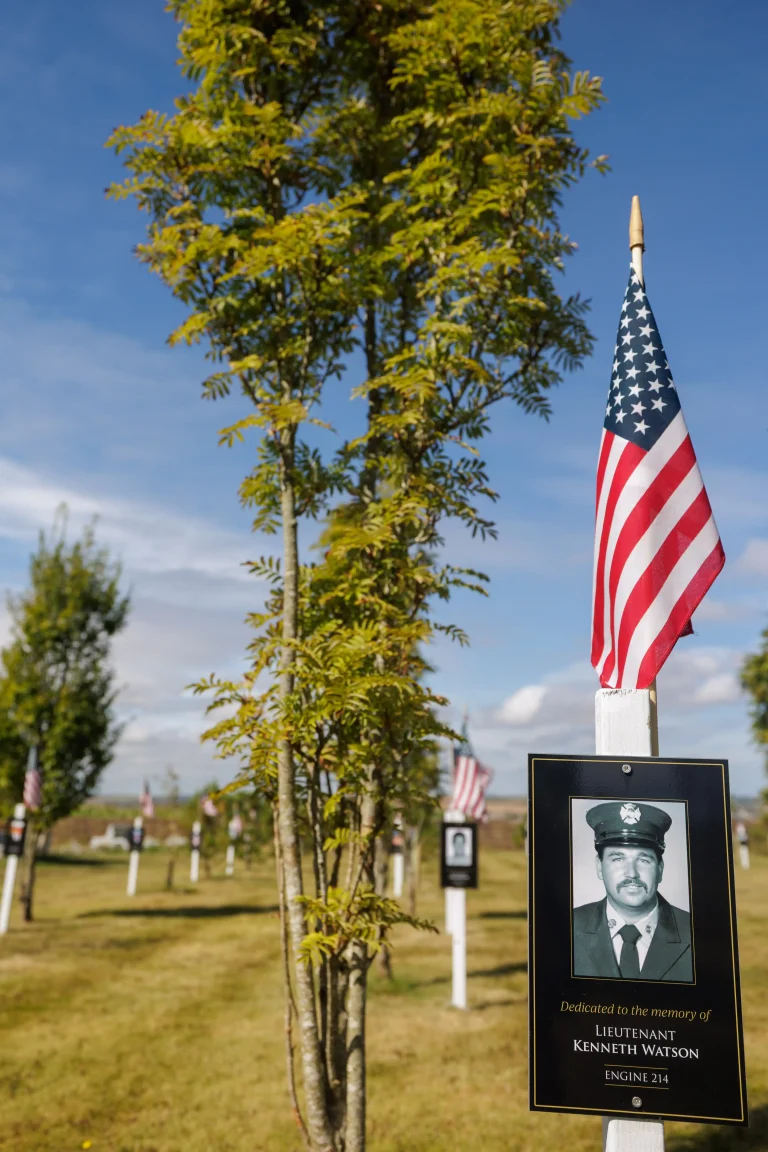 Photo of Kenneth Watson's tree in Ringfinnan Garden of Remembrance
