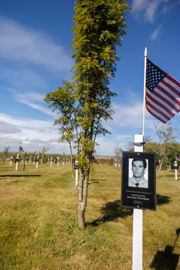 Photo of Michael Weinberg's tree in Ringfinnan Garden of Remembrance