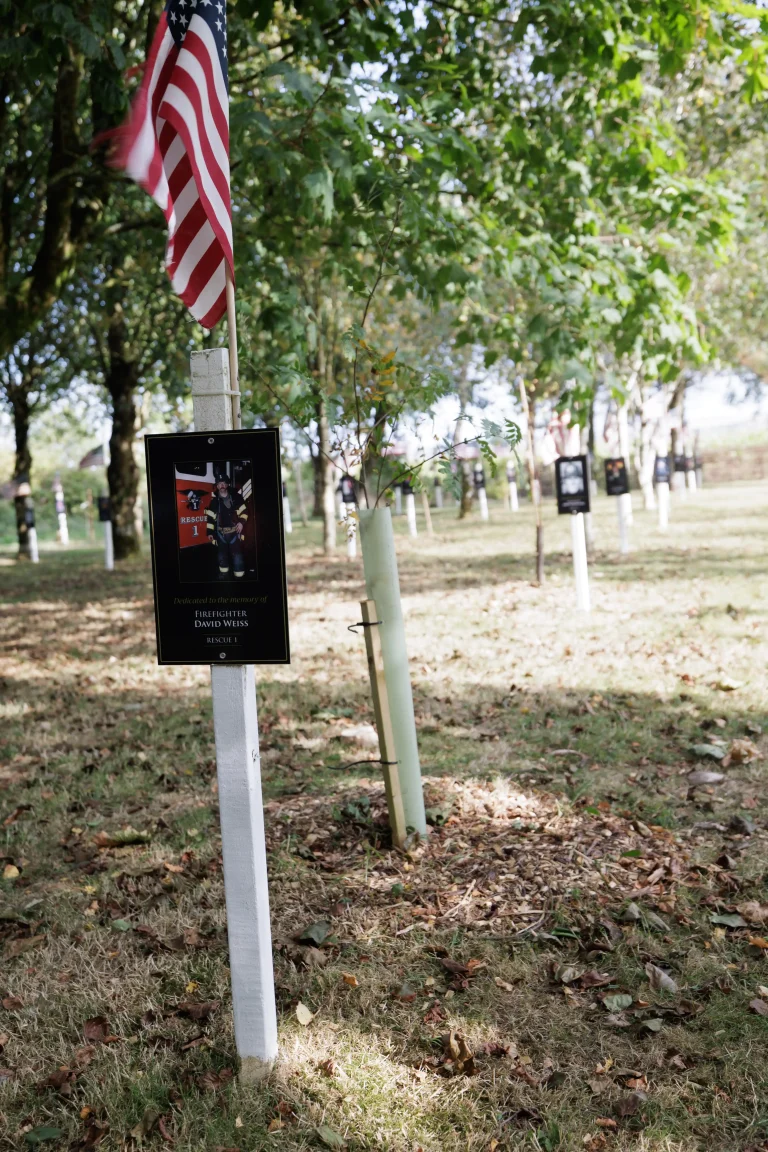 Photo of David Weiss's tree in Ringfinnan Garden of Remembrance