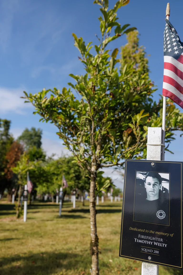 Photo of Timothy Welty's tree in Ringfinnan Garden of Remembrance