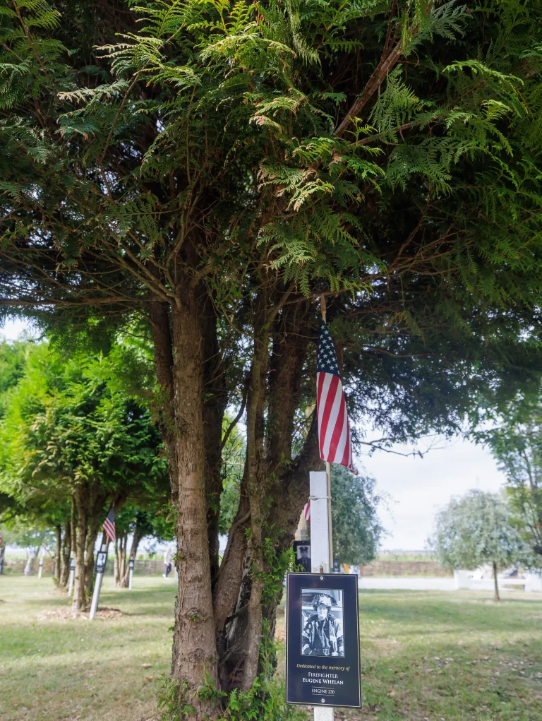 Photo of Eugene Whelan's tree in Ringfinnan Garden of Remembrance
