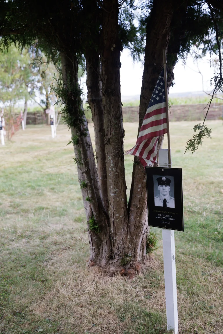 Photo of Mark Whitford's tree in Ringfinnan Garden of Remembrance