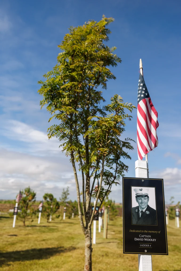 Photo of David Wooley's tree in Ringfinnan Garden of Remembrance