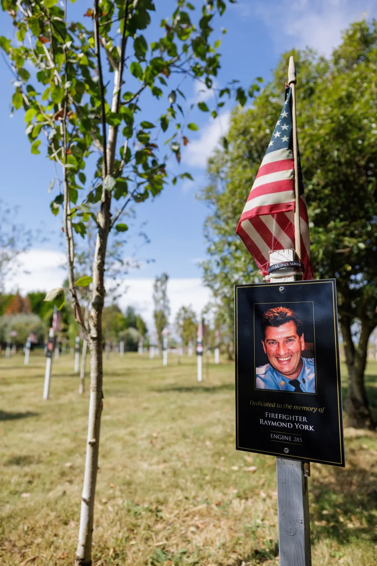 Photo of Raymond York's tree in Ringfinnan Garden of Remembrance